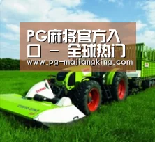 关于PG麻将官方入口
