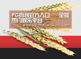 PG麻将官方入口 - 全球热门娱乐平台