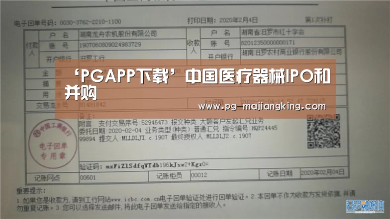 PG麻将登录入口