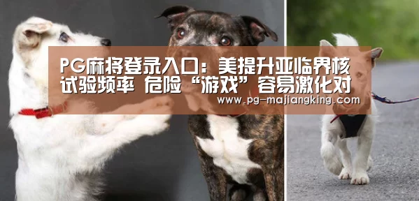 PG麻将官方入口