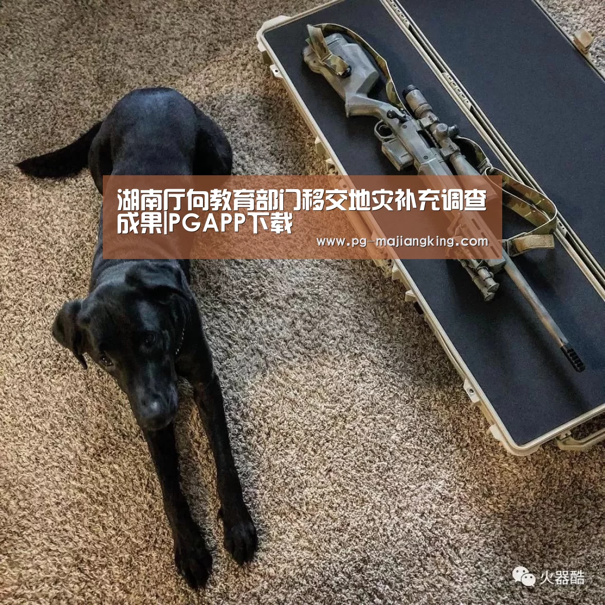 湖南厅向教育部门移交地灾补充调查成果|PGAPP下载(图1) PGAPP下载