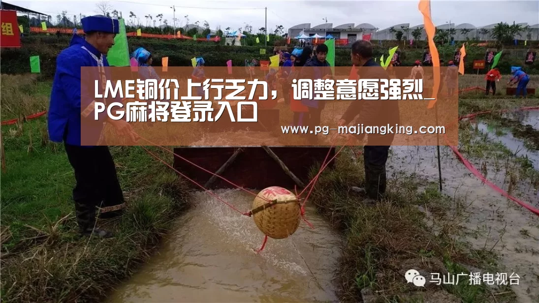LME铜价上行乏力,调整意愿强烈_PG麻将登录入口(图2) PG麻将官方入口